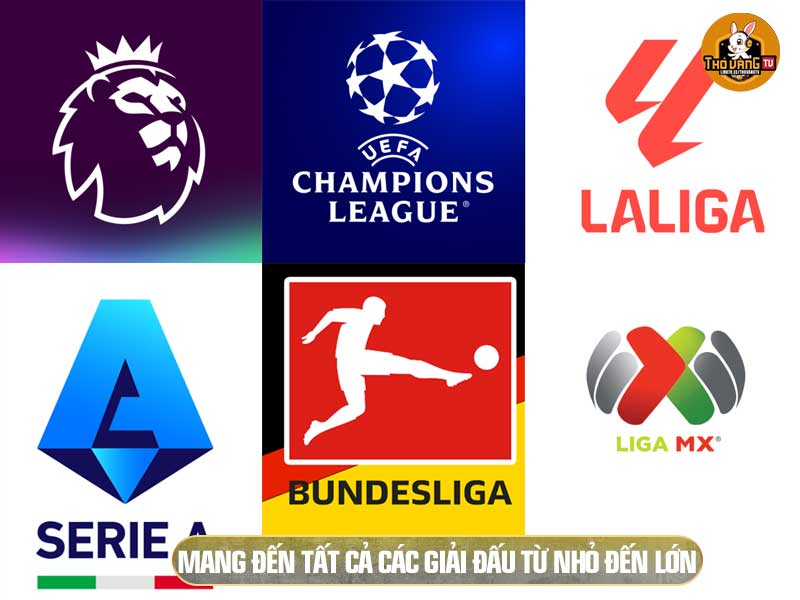 Bộ Lọc Tìm Kiếm Lịch Trực Tiếp Theo Giải Đấu - Giúp bạn dễ dàng tìm kiếm được trận đấu.